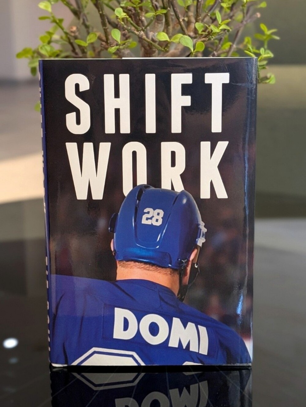 Shift Work Tie Domi Hardcover Book Hockey Memoir 2015